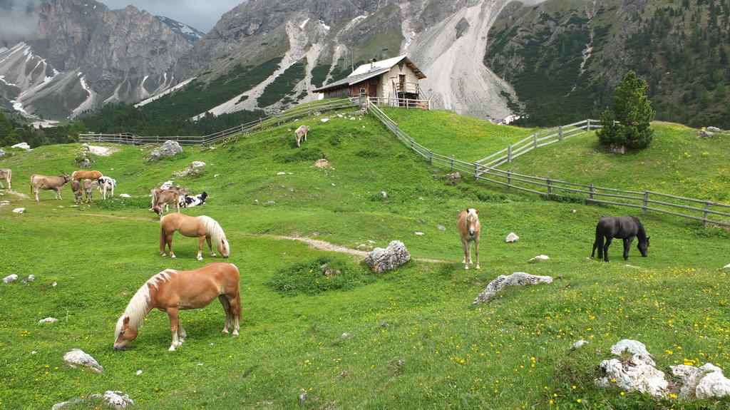 Garni Le Chalet Santa Cristina Val Gardena Exterior foto