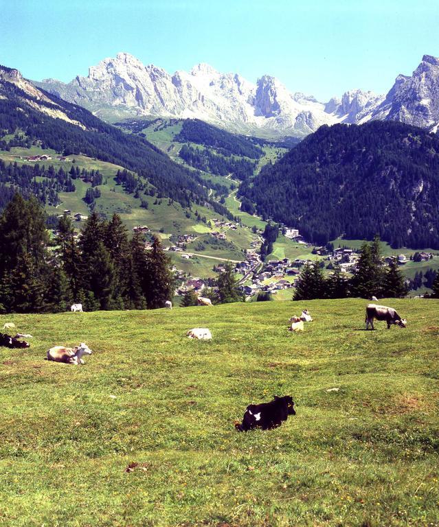 Garni Le Chalet Santa Cristina Val Gardena Exterior foto